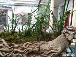 瘸打一成语