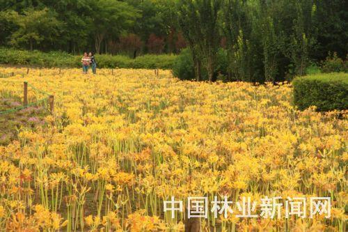 触目皆是造句-用触目皆是怎么造句