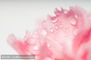 癞蛤蟆上楼梯打一成语