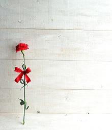 要富更要节约打一成语