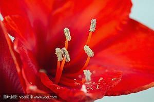 高堂大厦成语接龙游戏