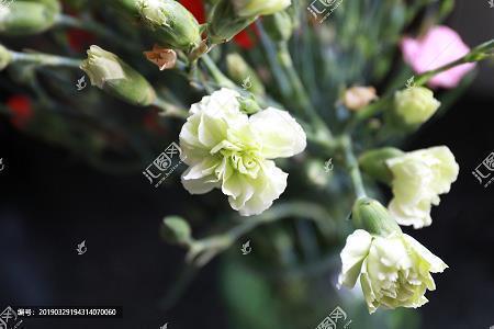 钟漏并歇成语接龙游戏