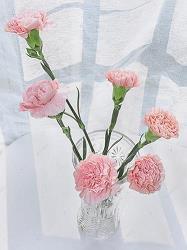 节日的焰火。打一成语