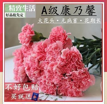 饰非拒谏成语接龙游戏