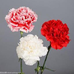 人间一例打一成语