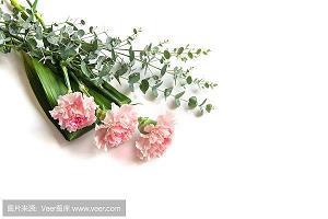 九寸打一成语