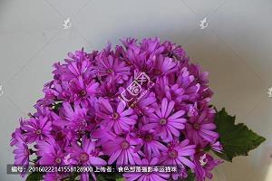 亘古不灭成语接龙游戏