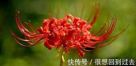 慷慨解囊造句-用慷慨解囊怎么造句