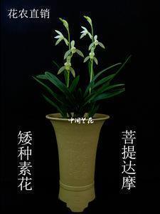 严禁越狱打一成语