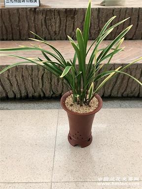 齐轨连辔成语接龙游戏