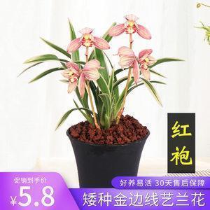 高朋满座成语接龙游戏