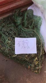 夏天的我
