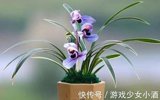 重允打一成语