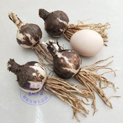 一麾出守成语接龙游戏