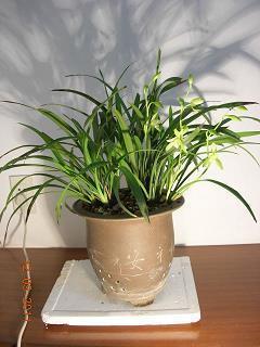 高垒深沟成语接龙游戏