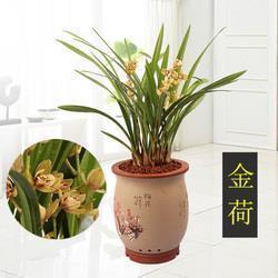 各就各位打一成语