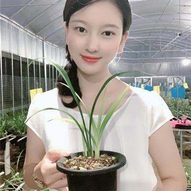 猜谜能手打一成语