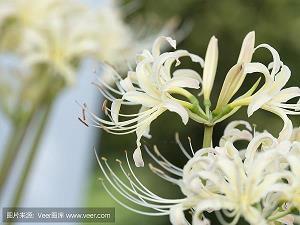 我和影子聊聊天