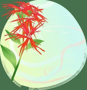 七日来复成语接龙游戏
