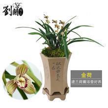 爆破点；雷振子；子夜鸣炮打一成语