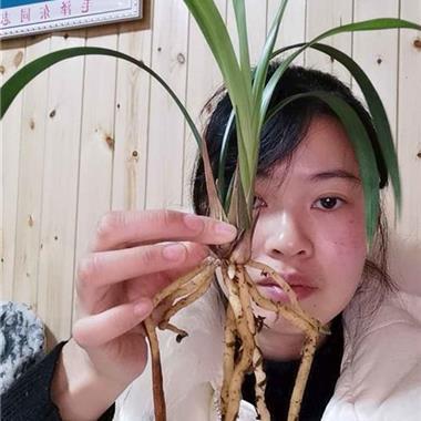 人间好事师做尽打一成语
