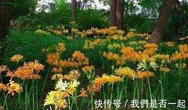 平步青霄成语接龙游戏