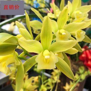 百花宴打一成语