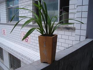 骑马乘舟成语接龙游戏