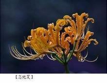 奖励