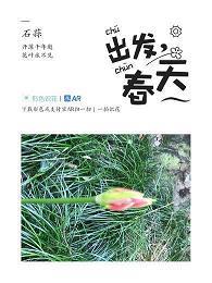 礼为情貌成语接龙游戏