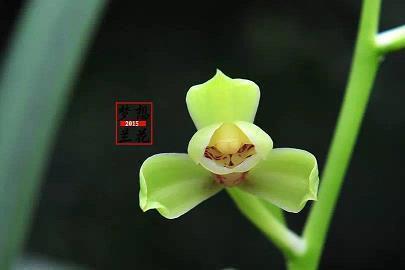 无法想无法说打一成语