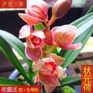 黍油麦秀成语接龙游戏