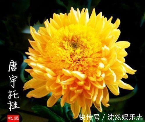 九江乘船去重庆打一成语