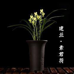 上有黄鹂深树鸣打一成语