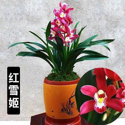 丧妻再婚打一成语