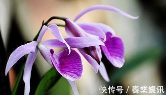 工作沉稳，成竹在胸打一成语