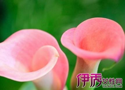 孔明之策打一成语