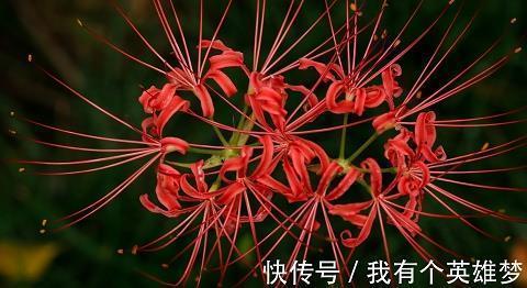 寒假厦门之旅