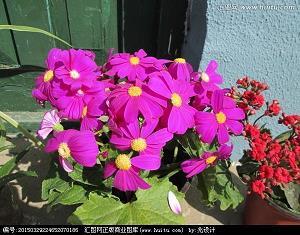 嘻皮涎脸成语接龙游戏