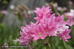 危机四伏造句-用危机四伏怎么造句
