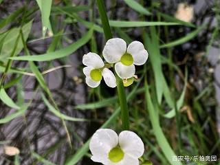 上楼梯打一成语