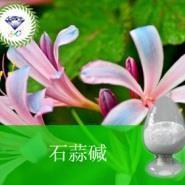 上蒸下报成语接龙游戏