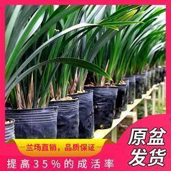 四个大字打一成语