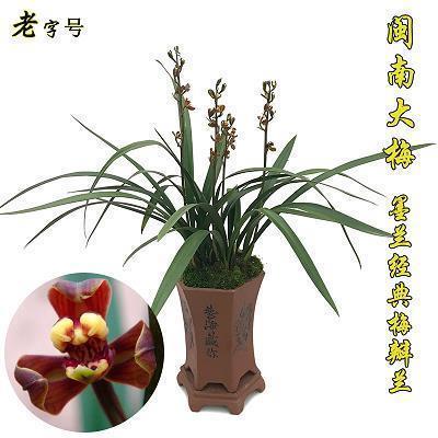 万事通打一成语