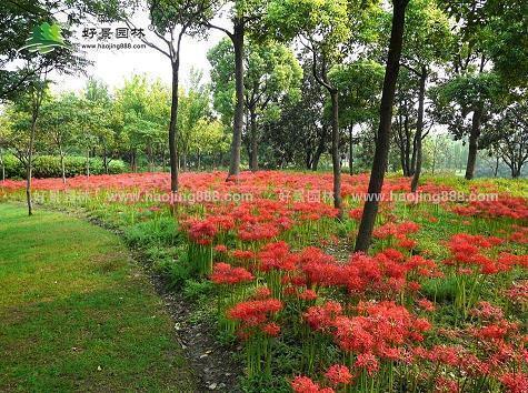 张敞画眉成语接龙游戏
