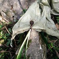 家乡的温泉