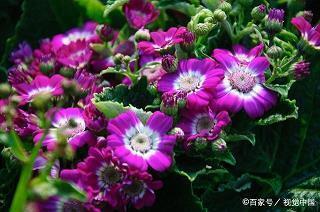 人民公园一日游