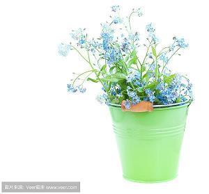 项羽离妾打一成语