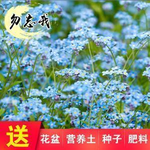 断交后视同路人打一成语