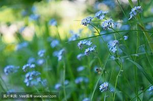 而立花甲言所指打一成语